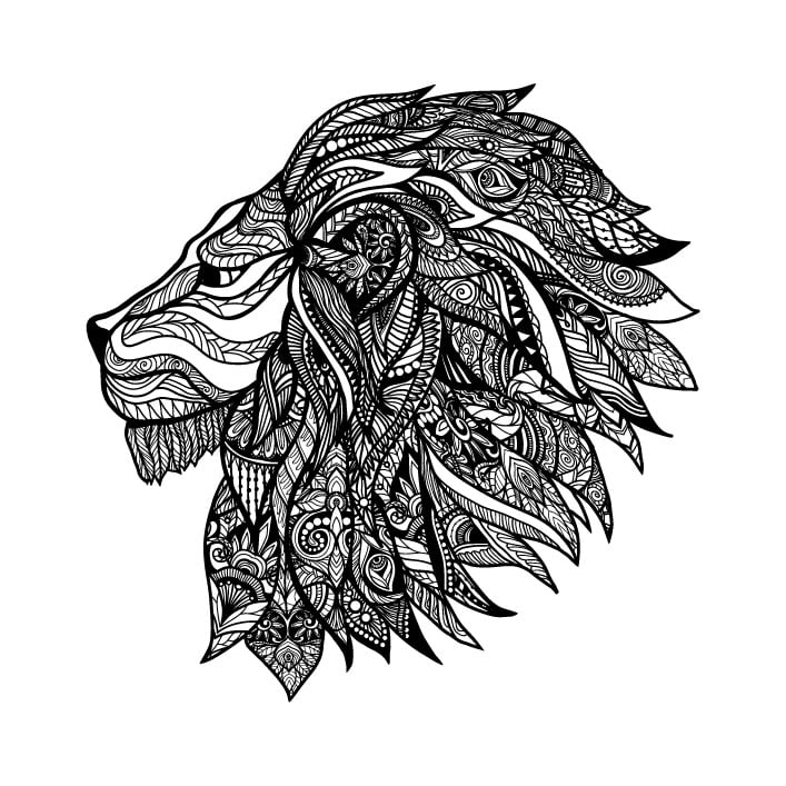 Illustration Project