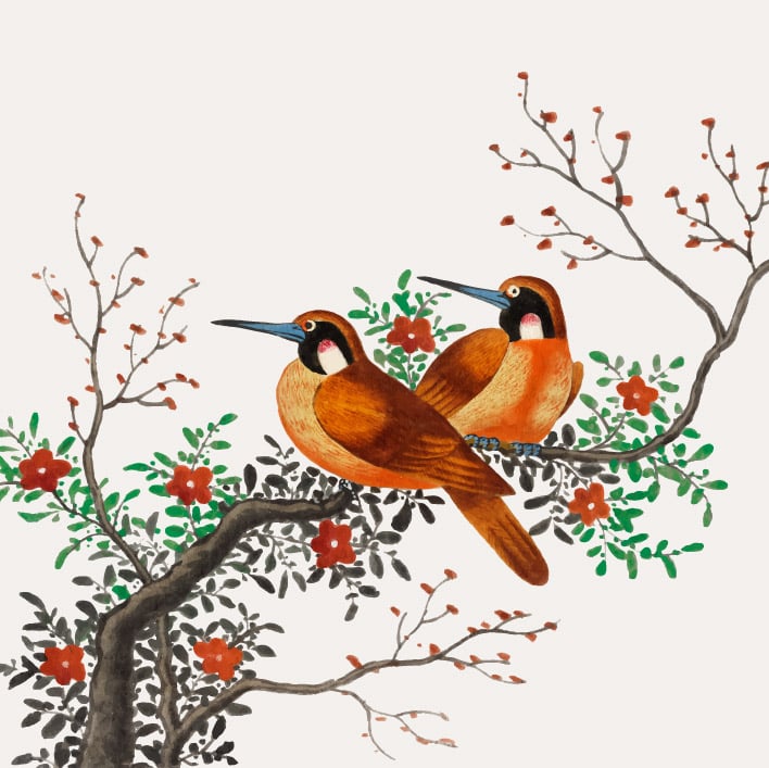 Illustration Project